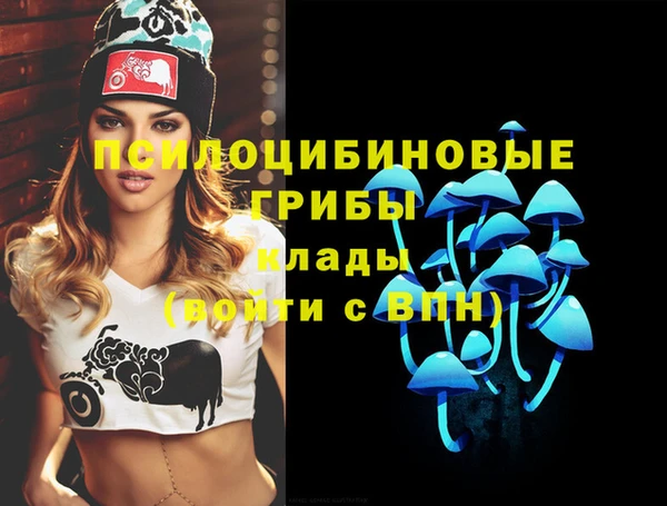дурь Горняк